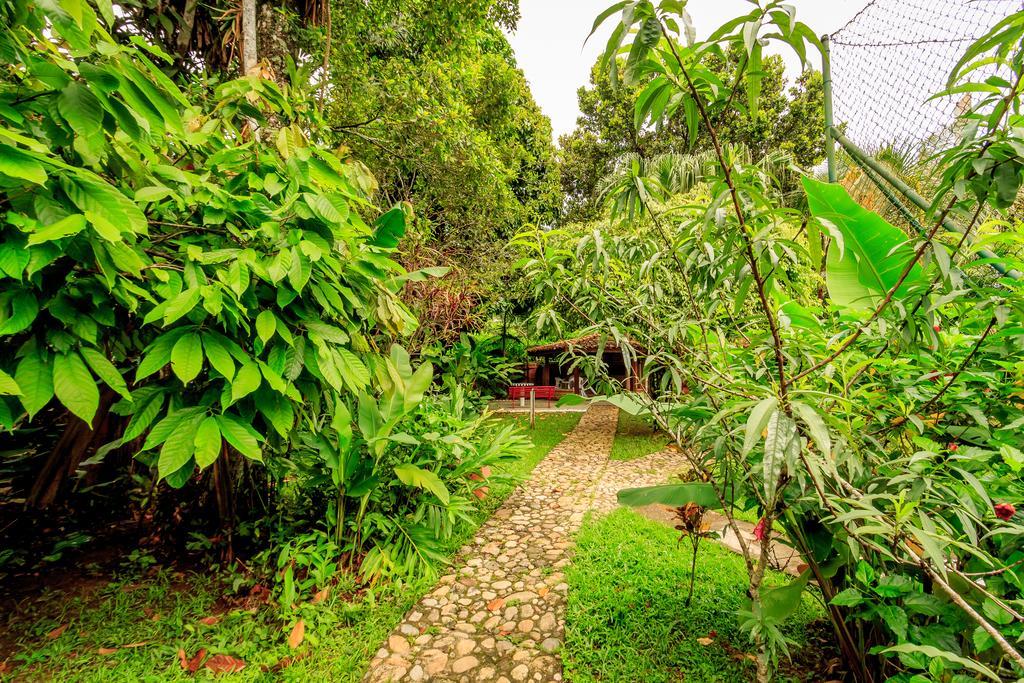 Condominio Palm Springs Ubatuba
